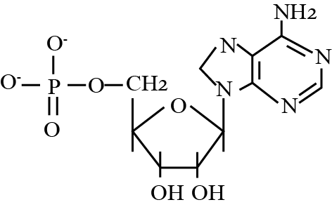 Cấu trúc nào được mô tả ở hình ảnh dưới đây?   A. Protein.	B. Nucleotide.	C. Amino acid.	D. Glycerol. (ảnh 1)
