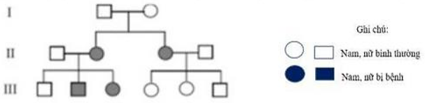 Ở một gia đình, nghiên cứu sự di truyền của một căn bệnh được mô tả theo phả hệ dưới đây:   Một nhà tư vấn di truyền đưa ra một số nhận định sau về sự di truyền của căn bệnh này ở gia đình trên như sau:  (ảnh 1)