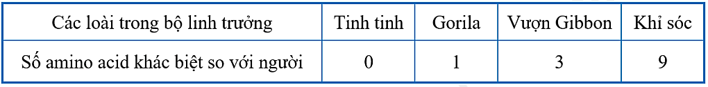 Chuỗi B - hemoglobin của một số loài trong bộ Linh trưởng đều gồm 146 amino acid nhưng khác biệt nhau một số amino acid, thể hiện ở bảng sau: (ảnh 1)