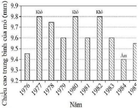 Các nhà khoa học đã thực hiện một nghiên cứu tại đảo A trong 10 năm từ 1976 đến 1985. Trong mỗi năm, họ bắt được ít nhất 50 con chim sẻ ăn hạt G. fortis và đo chiều cao mỏ của chúng. (ảnh 1)