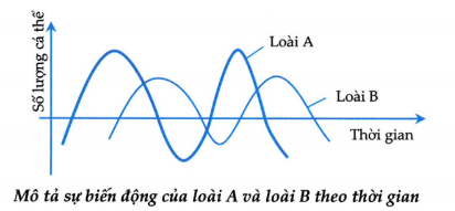 Mối quan hệ giữa loài A và B được biểu diễn bằng sự biến động số lượng của chúng theo hình bên. Có bao nhiêu phát biểu sau đây là đúng? (ảnh 1)