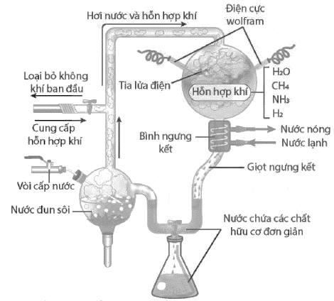 Hình 5 mô tả hệ thống thí nghiệm của Stanley Miller và Harold Urey. Hãy nghiên cứu hình ảnh và cho biết nhận xét nào sau đây là sai? (ảnh 1)