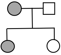 Ở người, tính trạng thuận tay phải là trội hoàn toàn so với tính trạng thuận tay trái. Một gia đình có bố thuận tay phải, mẹ thuận tay trái đã sinh ra hai người con gái, trong đó có một người con gái thuận tay trái. Quy ước: (ảnh 4)