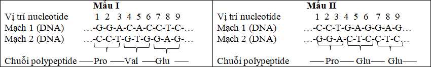 Ở người, xét một gene gồm 2 allele, allele D mã hóa protein N1, không gây bệnh N; allele d mã hóa protein N2 gây bệnh N. Một loại kí sinh trùng gây ra bệnh K ở người không bị bệnh N, (ảnh 1)