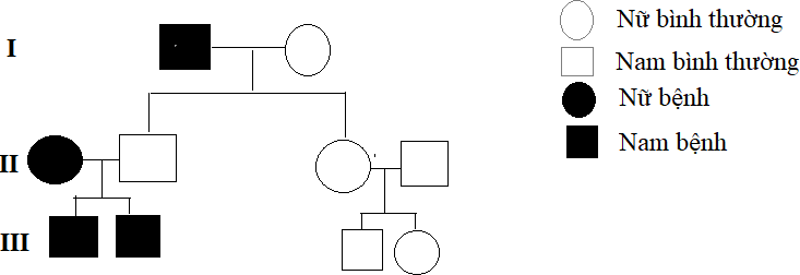 Phả hệ hình 7 mô tả về sự di truyền một bệnh N ở người do một gene gồm 2 allele quy định. Biết rằng không có đột biến mới phát sinh. Hãy cho biết có bao nhiêu quy luật di truyền có thể xảy ra đối với bệnh N. (ảnh 1)