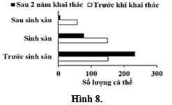 Khi điều tra nhóm tuổi của một quần thể cá sống trong một cái ao ở thời điểm trước và sau hai năm săn bắt, người ta thu được số liệu như Hình 8. Giả sử, điều kiện môi trường sống trong toàn bộ thời gian nghiên cứu không có biến động lớn. (ảnh 1)