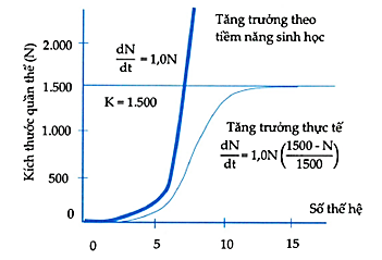 Hình 5 là biểu đồ về sự tăng trưởng của quần thể sinh vật theo tiềm năng sinh học và trong điều kiện môi trường bị giới hạn. (ảnh 1)