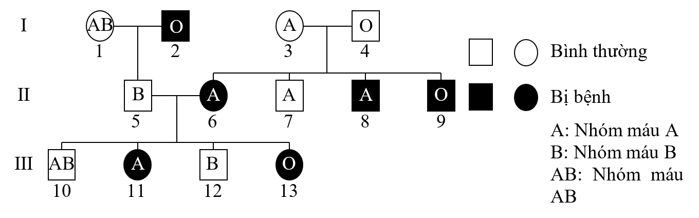 Ở người, bệnh phenylketonuria do một gene  nằm trên NST thường quy định, allele d quy định tính trạng bị bệnh, allele D quy định tính trạng bình thường. (ảnh 1)
