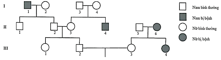 Phả hệ sau đây mô tả sự di truyền bệnh phenylketonuria ở người do một trong hai allele của một gene  quy định. Có tối đa bao nhiêu người trong phả hệ sau xác định được chính xác kiểu gene ? (ảnh 1)