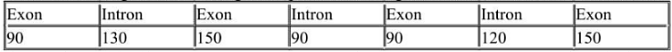 Giả sử có một gene với số lượng các cặp nucleotide tương ứng với mỗi loại exon và intron như sau:   Phân tử protein có chức năng sinh học được tạo ra từ gene này chứa bao nhiêu amino acid? (ảnh 1)