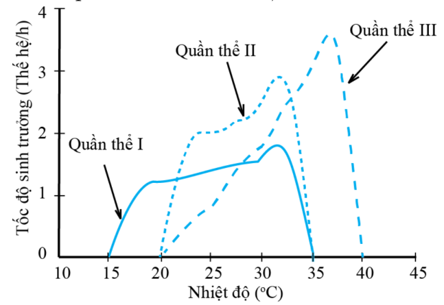 Biểu đồ bên thể hiện tốc độ sinh trưởng của các quần thể vi khuẩn I, II và III đã biến đổi qua nhiều thế hệ ở những điều kiện về nhiệt độ nuôi cấy khác nhau. (ảnh 1)