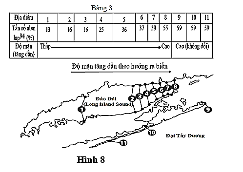 Các nhà khoa học đã nghiên cứu biến dị di truyền ở loài hàu biển (Mytilus edulis) phân bố tại đảo Dài (Long island sound), NewYork và dọc bờ biển hướng ra Đại Tây Dương. Họ (ảnh 1)