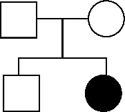 Ở người, tính trạng tóc xoăn là trội hoàn toàn so với tính trạng tóc thẳng. Một gia đình có bố, mẹ tóc xoăn đã sinh ra hai người con, trong đó có một người con trai tóc thẳng, 1 con gái bình thường.  (ảnh 3)