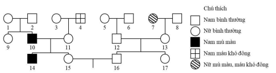 Cho sơ đồ phả hệ sau đây về bệnh mù màu và máu khó không. Biết rằng bệnh mù màu do gene  lặn a gây ra, còn bệnh máu khó đông do gene  lặn b gây ra.  (ảnh 1)