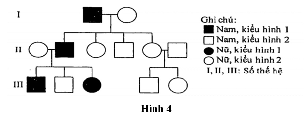 Cho phả hệ về sự di truyền một tính trạng đơn gene  ở người như Hình 4. Biết rằng không có đột biến phát sinh. Hãy cho biết, quy luật di truyền nào không phù hợp với phả hệ này?  (ảnh 1)