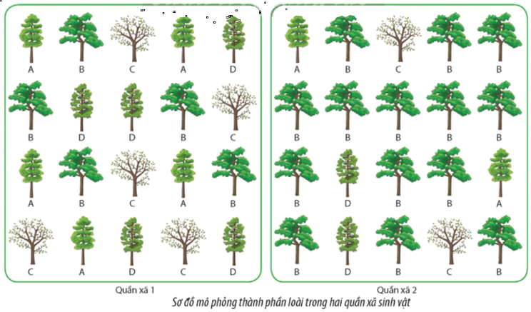 Cho hình minh họa về hai quần xã 1 và 2: 	Nhận định sau đây về hình này là Sai? (ảnh 1)
