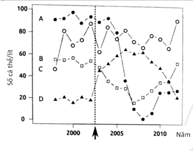 ong một sự cố vào mùa xuân năm 2003, một lượng lớn phân bón đổ xuống một hồ nhỏ ở Thụy Sĩ. Hình bên cho thấy độ phong phú (số lượng cá thể) của 4 loài động vật phù du (A, B, C và D) trong tháng 8 của một số năm trước  (ảnh 1)