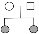 Ở người, tính trạng thuận tay phải là trội hoàn toàn so với tính trạng thuận tay trái. Một gia đình có bố thuận tay phải, mẹ thuận tay trái đã sinh ra hai người con gái, trong đó có một người con gái thuận tay trái. Quy ước: (ảnh 5)