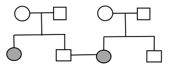 Ở người, bệnh mù màu do gen lặn (m) nằm trên NST X quy định. Ở một cặp vợ chồng bình thường, bên phía người vợ có bố và em trai bị mù màu,  (ảnh 3)