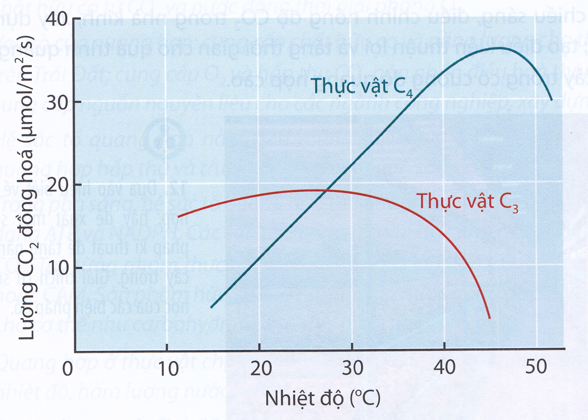 Sơ đồ bên mô tả ảnh hưởng của nhiệt độ đối với quang hợp ở 2 loài cây thuộc hai nhóm thực vật C3 và C4. Phân tích hình và cho biết mỗi nhận định sau là Đúng hay Sai:    (ảnh 1)