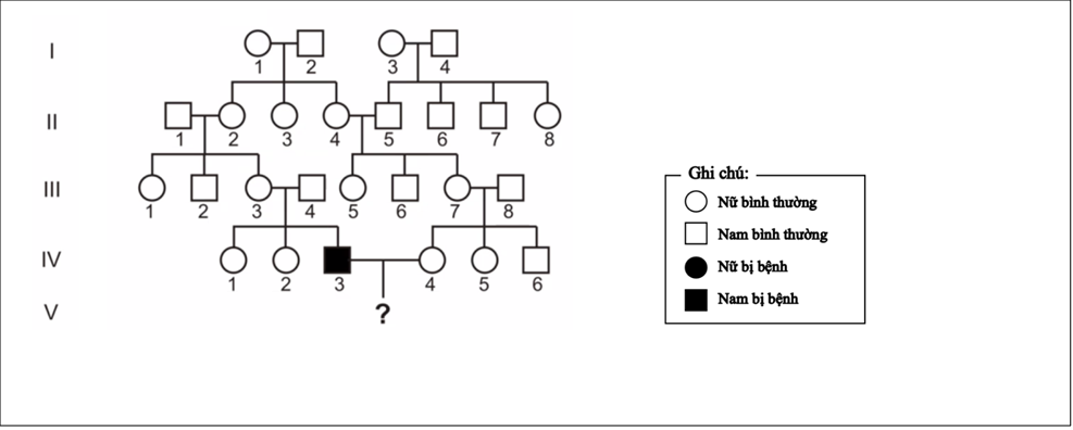 Phả hệ dưới đây mô tả 1 bệnh do gene lặn nằm trên vùng không tương đồng của NST giới tính X quy định. Cặp vợ chồng IV3 và IV4 sinh được 1 con trai. Xác suất người con này bị bệnh chiếm tỉ lệ (ảnh 1)