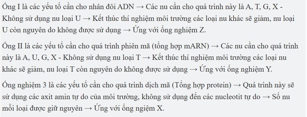 Một nhóm sinh viên tiến hành thí nghiệm tổng hợp DNA, RNA, protein nhân tạo bằng cách bố trí ba ống nghiệm I, II, III và bổ sung thêm các thành phần như ở bảng sau: (ảnh 1)