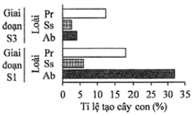 Quá trình hình thành rừng từ các cồn (đồi) cát trong tự nhiên gồm 3 giai đoạn với các loài thực vật phổ biến gồm loài cỏ Ab, loài cây gỗ Pr và loài có Ss. (ảnh 1)