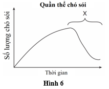 Hình 6 thể hiện sự tăng trưởng của quần thể sói đồng cỏ trong một khu vực hoang dã.     Cho các nhân tố sau:  1.  Cạn kiệt nguồn thức ăn.  2.  Môi trường sống thuận lợi. (ảnh 1)