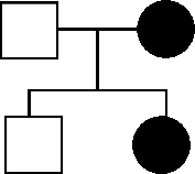 Ở người, tính trạng tóc xoăn là trội hoàn toàn so với tính trạng tóc thẳng. Một gia đình có bố, mẹ tóc xoăn đã sinh ra hai người con, trong đó có một người con trai tóc thẳng, 1 con gái bình thường.  (ảnh 4)