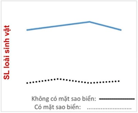 Sao biển gai (Acanthaster planci) là loài sao biển có kích thước cơ thể lớn. Chúng có tập tính ăn ưa thích nhất là các mầm (polyp) san hô sống, các mô mềm của các loài san hô.  (ảnh 1)