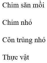 Cho chuỗi thức ăn: Cây → Côn trùng nhỏ → Chim nhỏ → Chim săn mồi. Tháp số lượng nào sau đây phù hợp cho chuỗi thức ăn này? (ảnh 1)