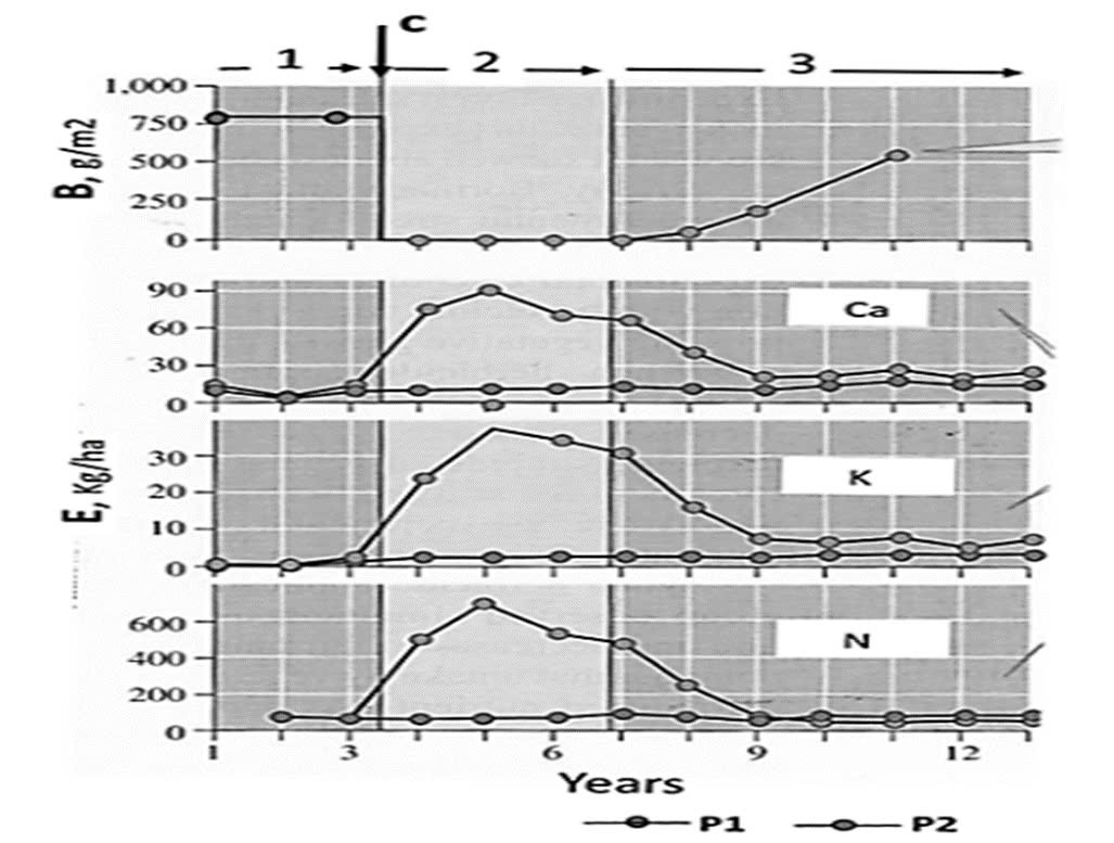 Hình sau là kết quả thu được trong một chương trình nghiên cứu ảnh hưởng của việc phá rừng tại lưu vực sông ở hai khu vực của thí nghiệm. (ảnh 1)