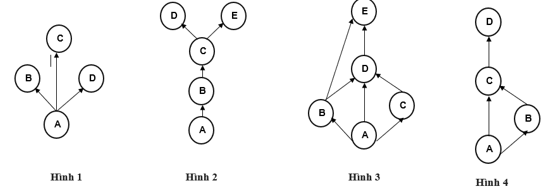 Cho biết loài A là sinh vật sản xuất. Trong các lưới thức ăn sau đây, lưới thức ăn ở hình nào dễ bị ảnh hưởng nhất khi loài B bị diệt vong? (ảnh 1)