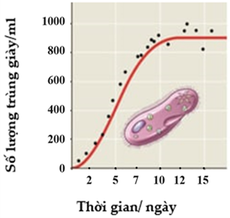 Hình 28 ghi lại sự biến động số lượng của quần thể trùng đế giày được nuôi trong phòng thí nghiệm. Số lượng cá thể được thể hiện qua các chấm đen trên hình. Bắt đầu từ ngầy thứ mấy trong các ngày sau đây: 2, 5, 7, 10, 12, 15, (ảnh 1)