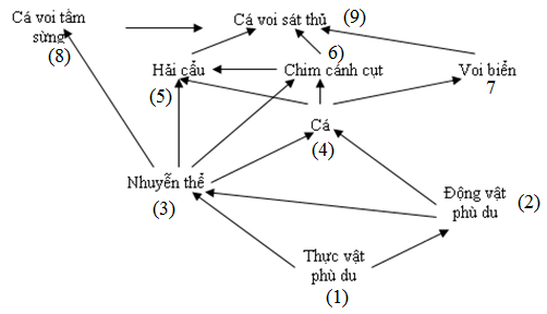 Cho lưới thức ăn như Hình 26.   Hình 26 Theo lí thuyết, nhuyễn thể có thể thuộc bao nhiêu bậc dinh dưỡng? (ảnh 1)