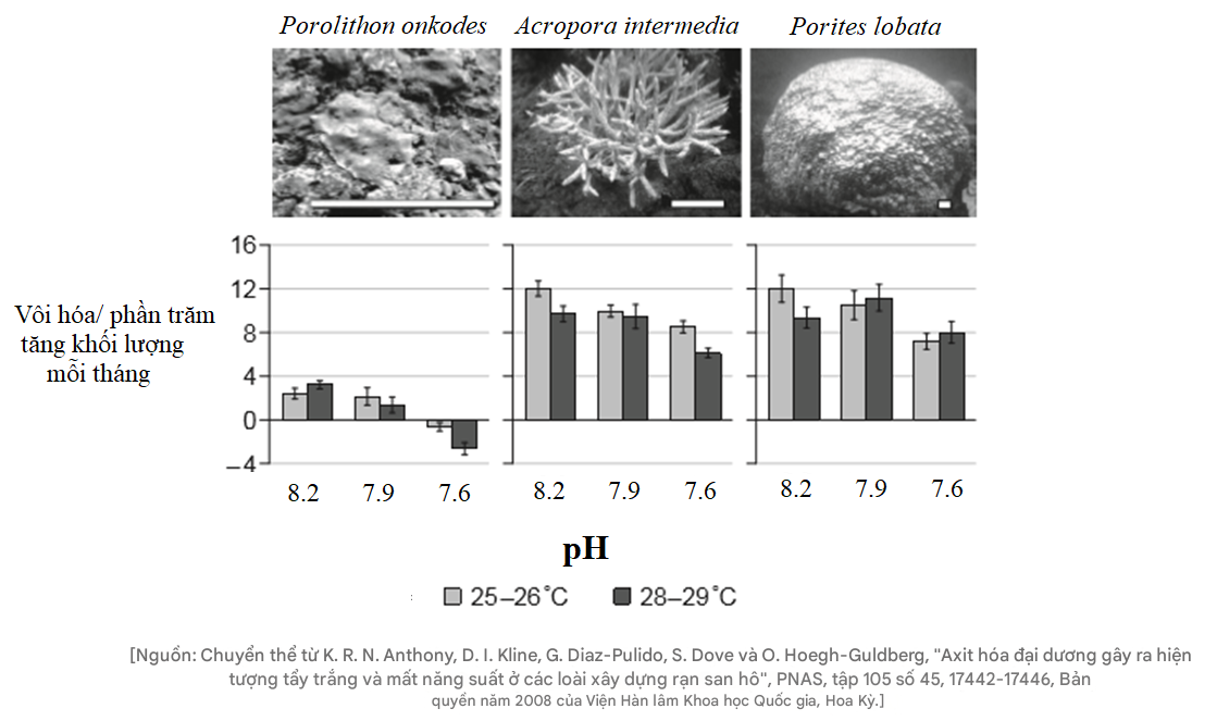 Rạn san hô là một trong những hệ sinh thái ngoạn mục nhất trên Trái Đất. Chúng hỗ trợ cuộc sống đa dạng phong phú và mang lại lợi ích kinh tế cho những người sử dụng chúng. (ảnh 2)