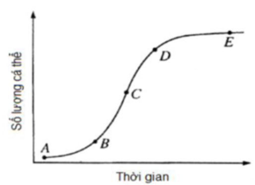 Đường cong tăng trưởng của một quần thể sinh vật được biểu diễn ở hình bên. Phân tích hình, hãy cho biết phát biểu nào sau đây sai? (ảnh 1)