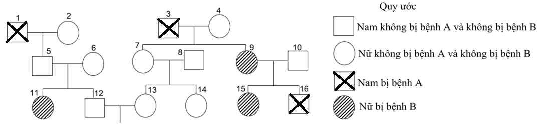 Cho sơ đồ phả hệ sau ở người     Cho biết mỗi bệnh do 1 trong 2 allele của 1 gene quy định, người số 10 không mang allele gây bệnh A, người số 8 mang allele gây bệnh B. (ảnh 1)
