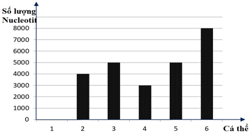 Ở một loài động vật, xét 2 gene, mỗi gene gồm 2 alelle (A, a và B, b) nằm trên 2 cặp nhiễm sắc thể thường khác nhau, biết alelle A có tổng số nucleotide  là 3000, alelle B có tổng số nucleotide là 2000. (ảnh 1)