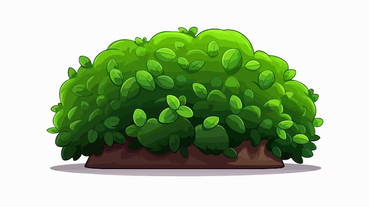  s u s b h e       bushes (bụi cây) (ảnh 1)