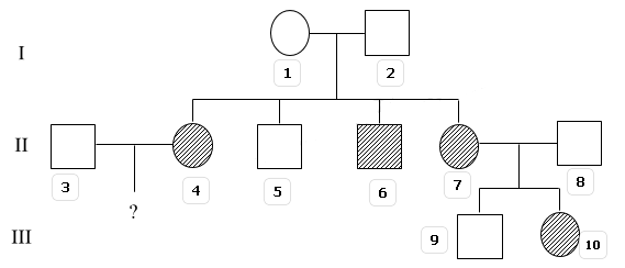 Một quần thể người đang ở trạng thái cân bằng di truyền, tần số người bị mắc một bệnh di truyền đơn gene là 9%.  (ảnh 1)