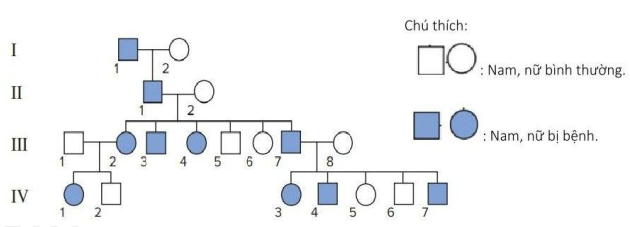 Phả hệ dưới đây mô tả sự di truyền của một bệnh ở người:   Biết rằng không xảy ra đột biến, nhiều khả năng bệnh này là do (ảnh 1)