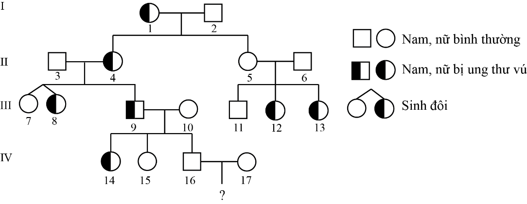 Cho sơ đồ phả hệ sau:    Cho biết bệnh do 1 trong 2 allele của 1 gene  quy định, người số 16 lấy vợ bình thường không mang allele gây bệnh. (ảnh 1)