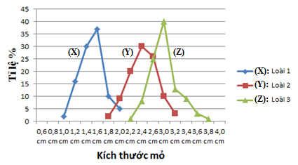 Xét 3 loài chim ăn hạt sống trong cùng 1 khu vực. Ổ sinh thái dinh dưỡng thể hiện thông qua tỉ lệ phần trăm các loại kích thước mỏ của 3 loài trên được biểu diễn ở đồ thị sau:  (ảnh 1)
