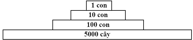 Hãy nghiên cứu Hình 6 mô tả số lượng cá thể giữa các bậc dinh dưỡng trong hệ sinh thái.   Hình 6. Hãy cho biết Hình 6 thuộc dạng tháp sinh thái nào trong các dạng tháp sau đây? (ảnh 1)