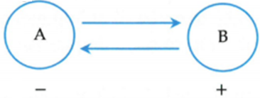 Quan hệ giữa hai loài A và B trong quần xã được biểu diễn bằng sơ đồ Hình 6 sau: Hình 6 Cho biết dấu (+) là loài được lợi, dấu (-) là loài bị hại. Sơ đồ trên biểu diễn mối quan hệ nào? (ảnh 1)