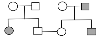 Ở người, bệnh mù màu do gen lặn (m) nằm trên NST X quy định. Ở một cặp vợ chồng bình thường, bên phía người vợ có bố và em trai bị mù màu,  (ảnh 5)