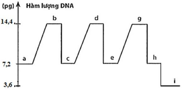 1. Đồ thị hình bên mô tả sự biến động hàm lượng DNA trong nhân của một tế ở một loài động vật qua các thời kì của các quá trình phân bào. Dựa vào đồ thị hãy cho biết: (ảnh 1)