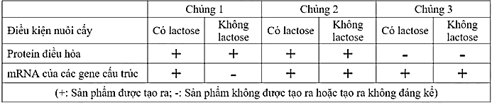 Khi nghiên cứu về hoạt động của Operon Lac ở ba chủng vi khuẩn E.coli, người ta thu được kết quả như sau: (ảnh 1)