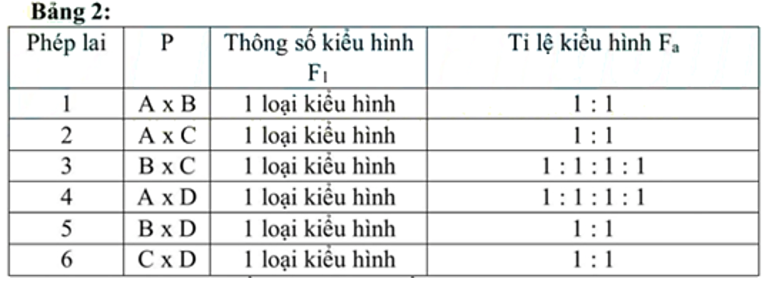 Ở một loài thực vật, xét 2 gene  phân li độc lập, mỗi gene  quy định một tính trạng và đều có 2 allele trội lặn hoàn toàn.  (ảnh 1)